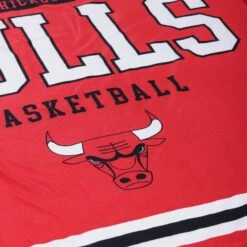 FOCO Chicago Bulls Team Property Sherpa Plush Throw Blanket -Fashion General Store BKTNBPLSHTPCBL g5