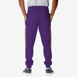 FOCO Minnesota Vikings Team Stripe Joggers -Fashion General Store PNTNFJOGTSMV g3