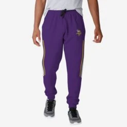 FOCO Minnesota Vikings Team Stripe Joggers