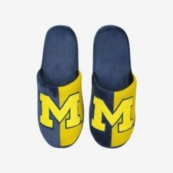 FOCO Michigan Team Logo Staycation Slipper -Fashion General Store SLPNCTLSYCAMI g4
