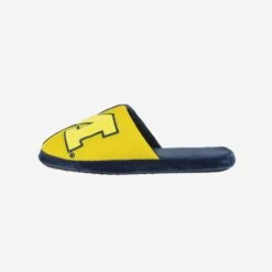 FOCO Michigan Team Logo Staycation Slipper