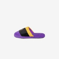 FOCO Minnesota Vikings Youth Colorblock Slide Slipper