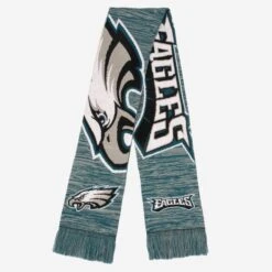 FOCO Philadelphia Eagles Wordmark Colorblend Scarf